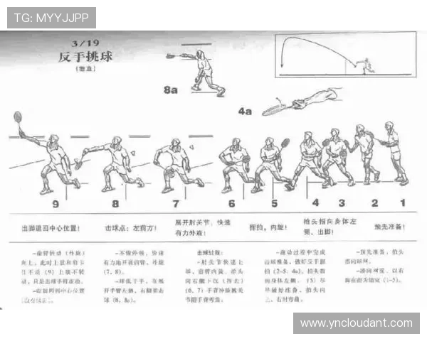 羽毛球新手必看:轻松掌握团队协作技巧与实战策略 羽毛球新手必看:轻松掌握团队协作技巧与实战策略