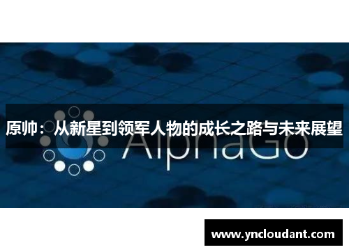 原帅：从新星到领军人物的成长之路与未来展望