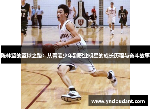 陈林坚的篮球之路：从青涩少年到职业明星的成长历程与奋斗故事